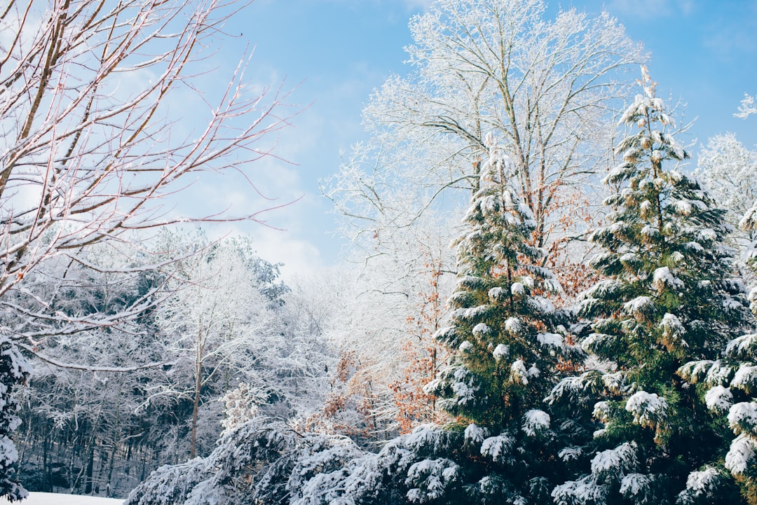 Photo Winter haircare