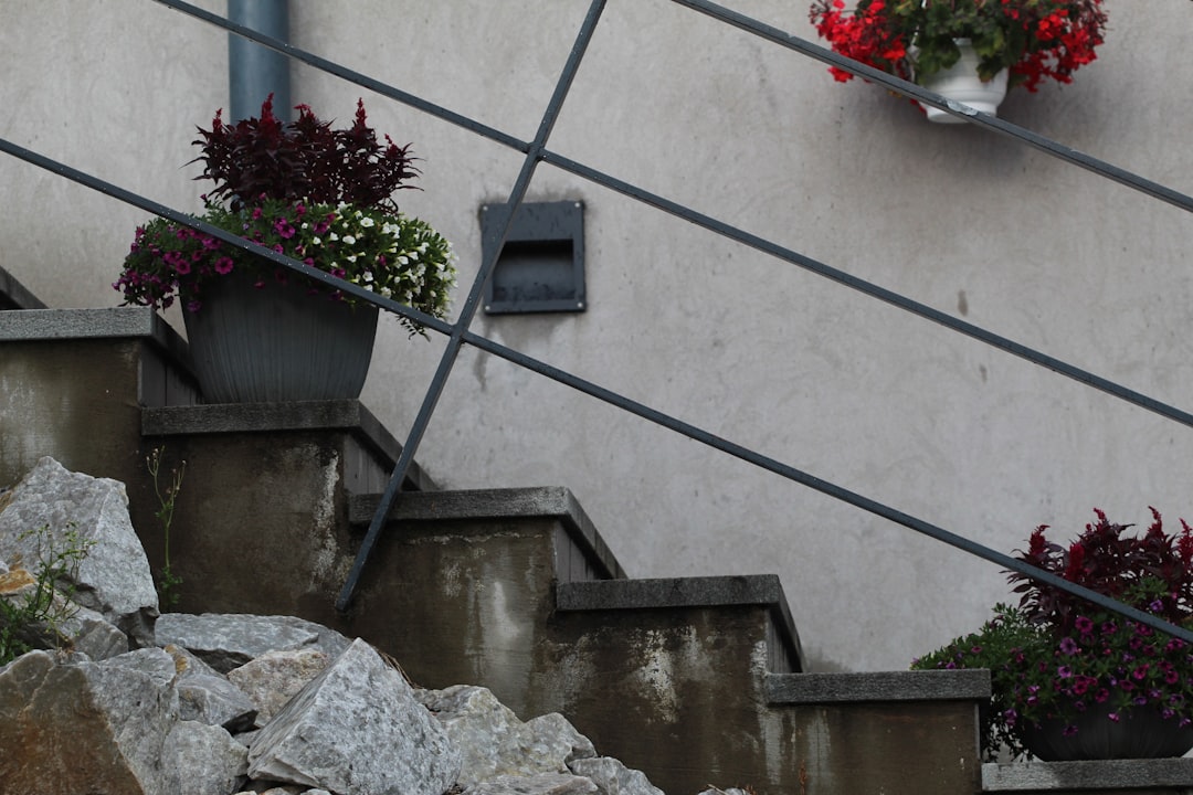 Photo concrete planters